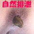MCT_Banner70X70_01.gif (5578 バイト)