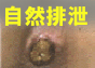 MCT_Banner88x63-1.gif (5031 バイト)