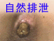 MCT_banner1-6_80x60.gif (4661 バイト)